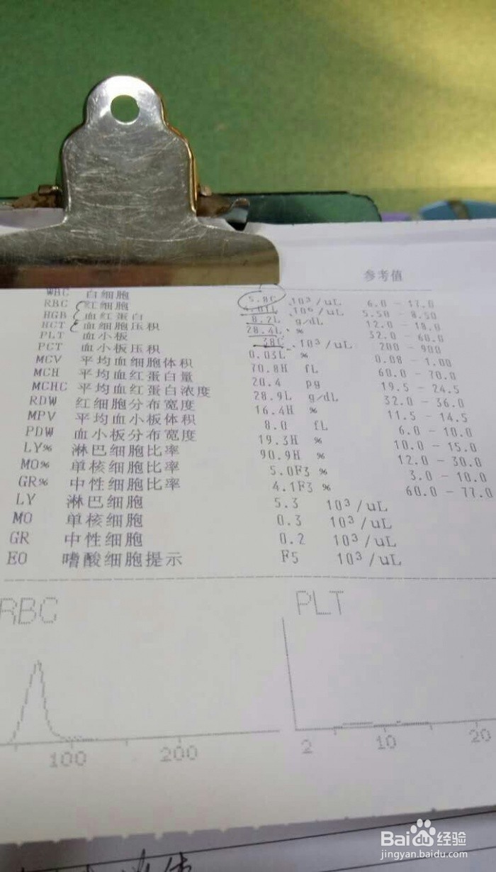 宠物店买到病狗怎么办