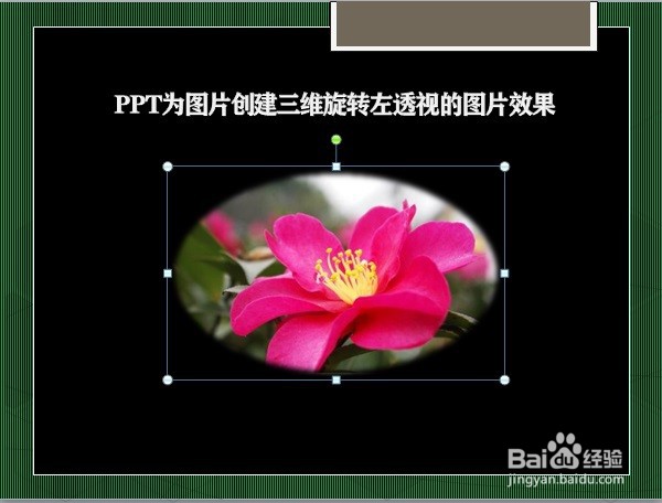PPT为图片创建三维旋转左透视的图片效果