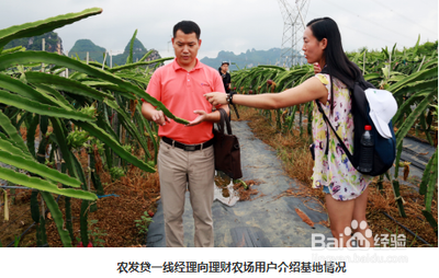 如何深度挖掘项目需求
