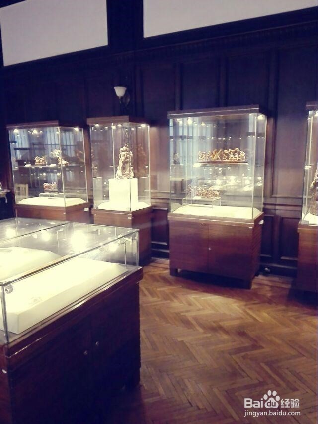 上海有哪些好玩有特色的地方?