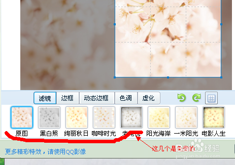 qq如何更改头像?选择自己喜欢的图片作为头像