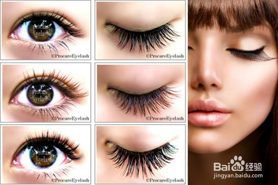 超全入门化妆顺序和技巧