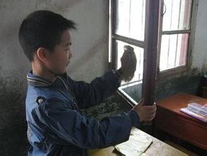 清洗窗户小妙招