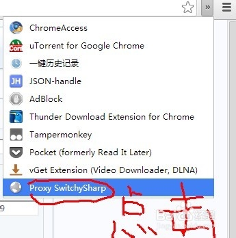 Proxy Switchy 使用说明