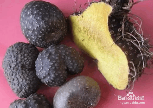 黄独的果实食用方法