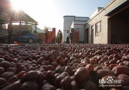 怎么做红枣批发