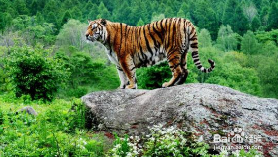 哈尔滨景点有哪些