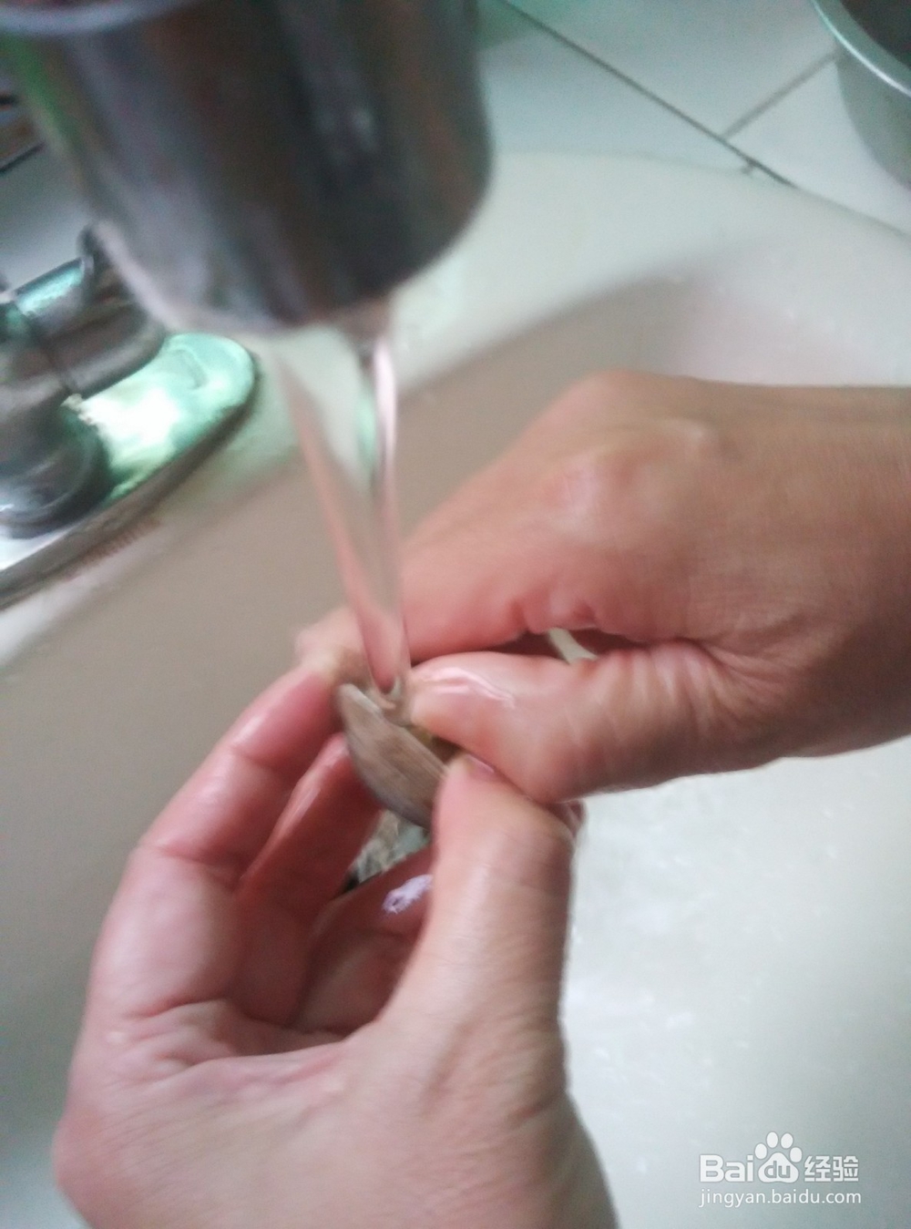 花蛤/文蛤怎么炒