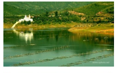 （四）水库垂钓技巧之钓位选择