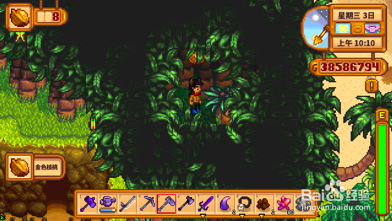 星露谷物语火山矿洞旁的核桃怎么拿