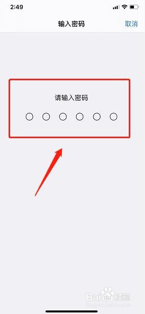 苹果X的面容识别在哪里查找？
