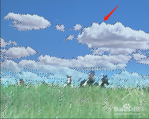 PS如何在通道中存储和应用选区