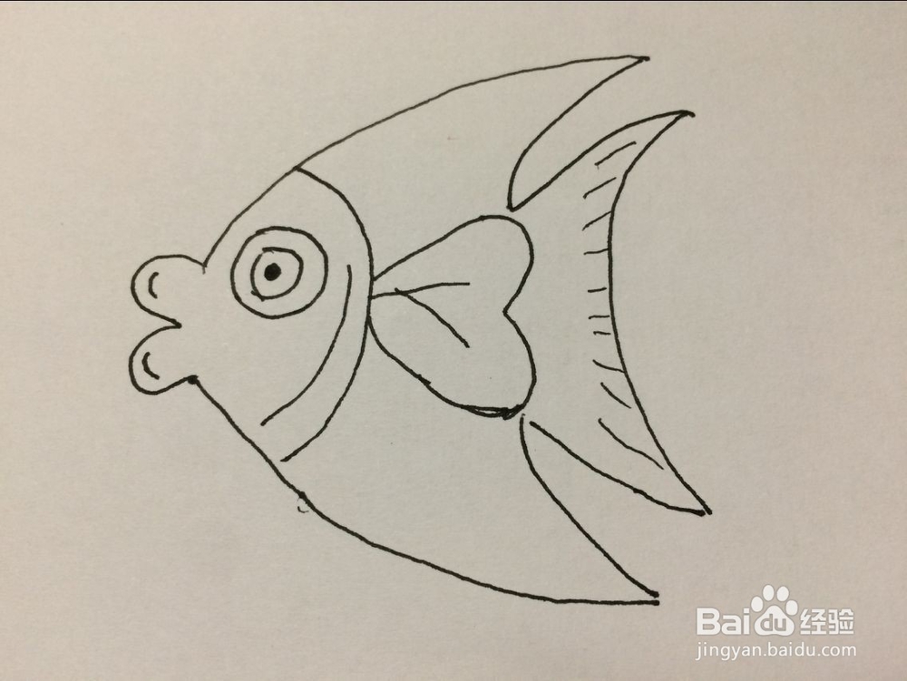 儿童热带鱼的简单画法