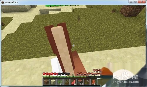 我的世界怎么找到马，怎么喂马？