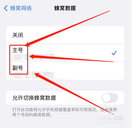 苹果手机怎么切换网络