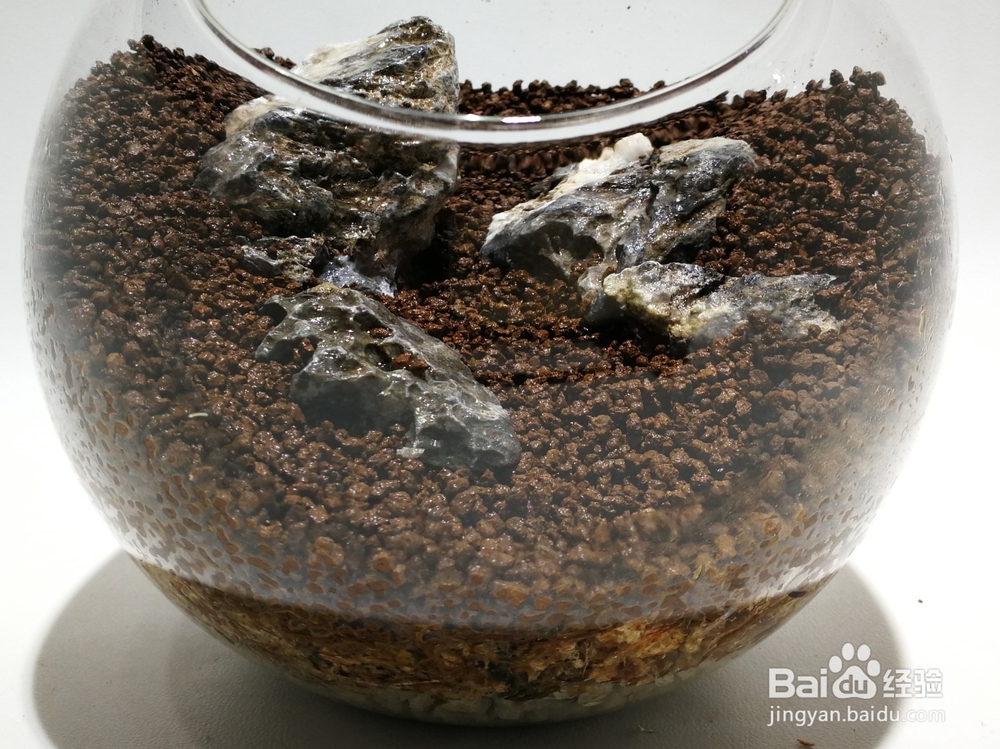 手把手教您制作苔藓微景观