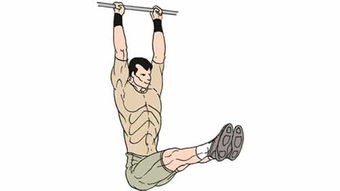 怎么在家锻炼出腹肌