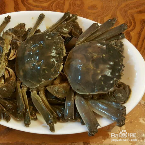 毛蟹是淡水还是海水