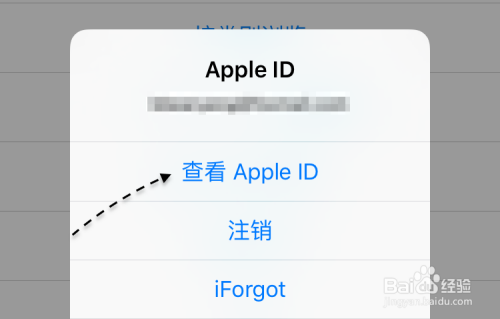 App显示项目不可用，App Store 项目不可用
