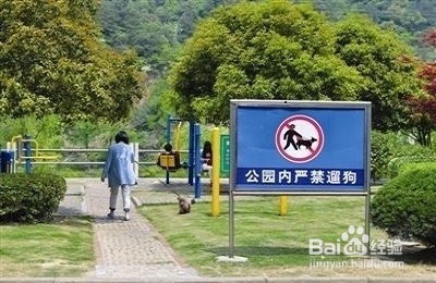 一个月的泰迪怎么养