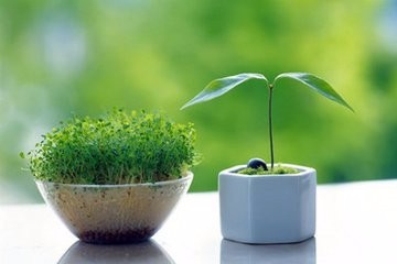 如何充实的度过周末？