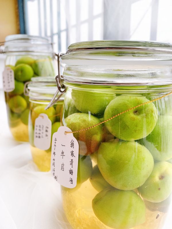 春日私酿-青梅酒