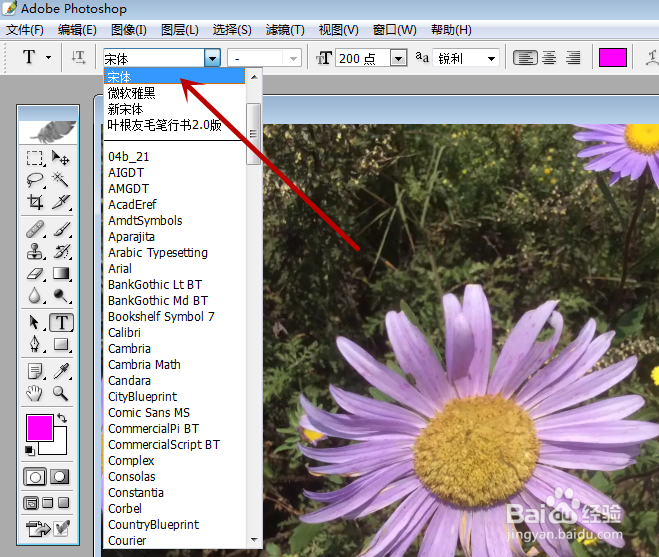 怎么样才能用PS在图片上添加所需的文字