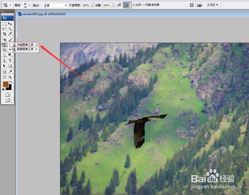 Photoshop仿制图章工具的运用