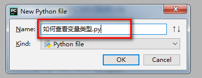 Python教程 如何查看变量类型