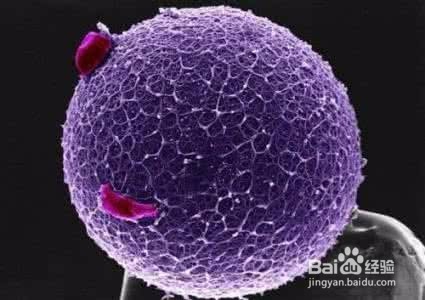 做试管婴儿成功怀孕，该剖腹产还是顺产？