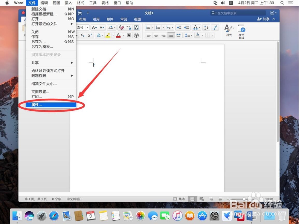 苹果Mac版office word 2019如何修改作者名称