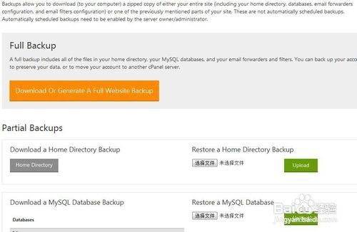 虚拟主机备份网站图文和教程