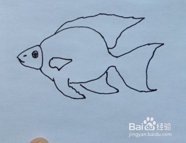 鱼的简笔画怎么画？