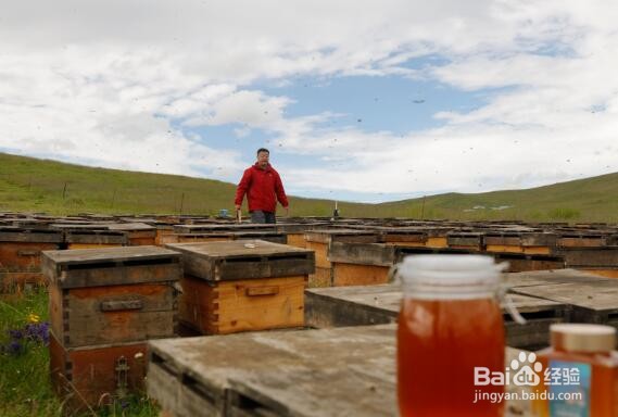 抗糖化蜂蜜也不能吃么?抗糖化能喝蜂蜜水吗?