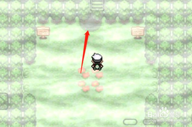 究极绿宝石5迷途之森怎么走