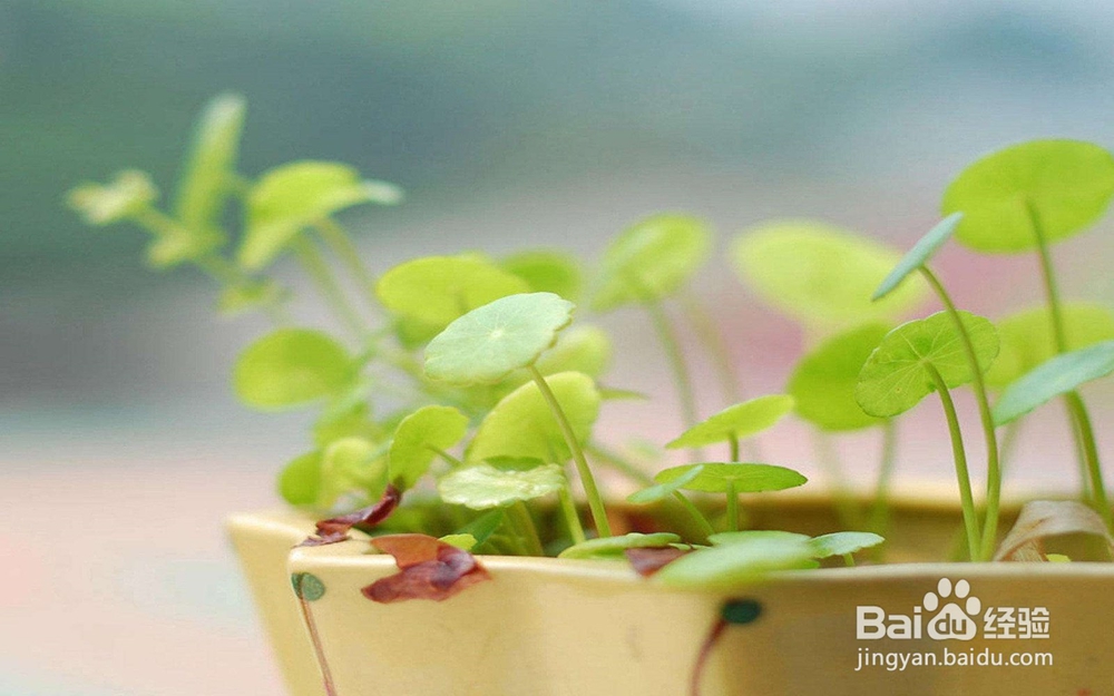 12星座如何应对七年之痒？有你要的答案