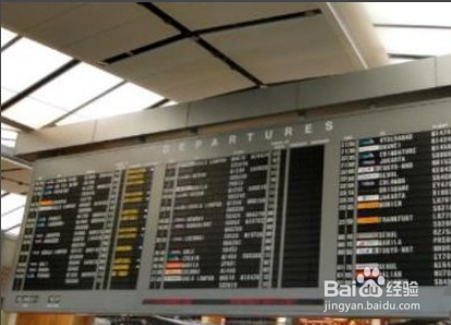 飞机托运宠物需要什么手续