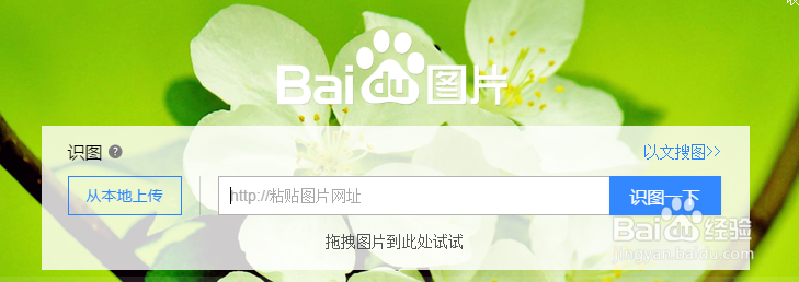 如何利用图片进行搜索
