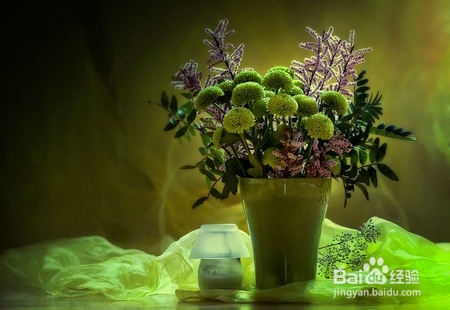 张家界自驾车俱乐部