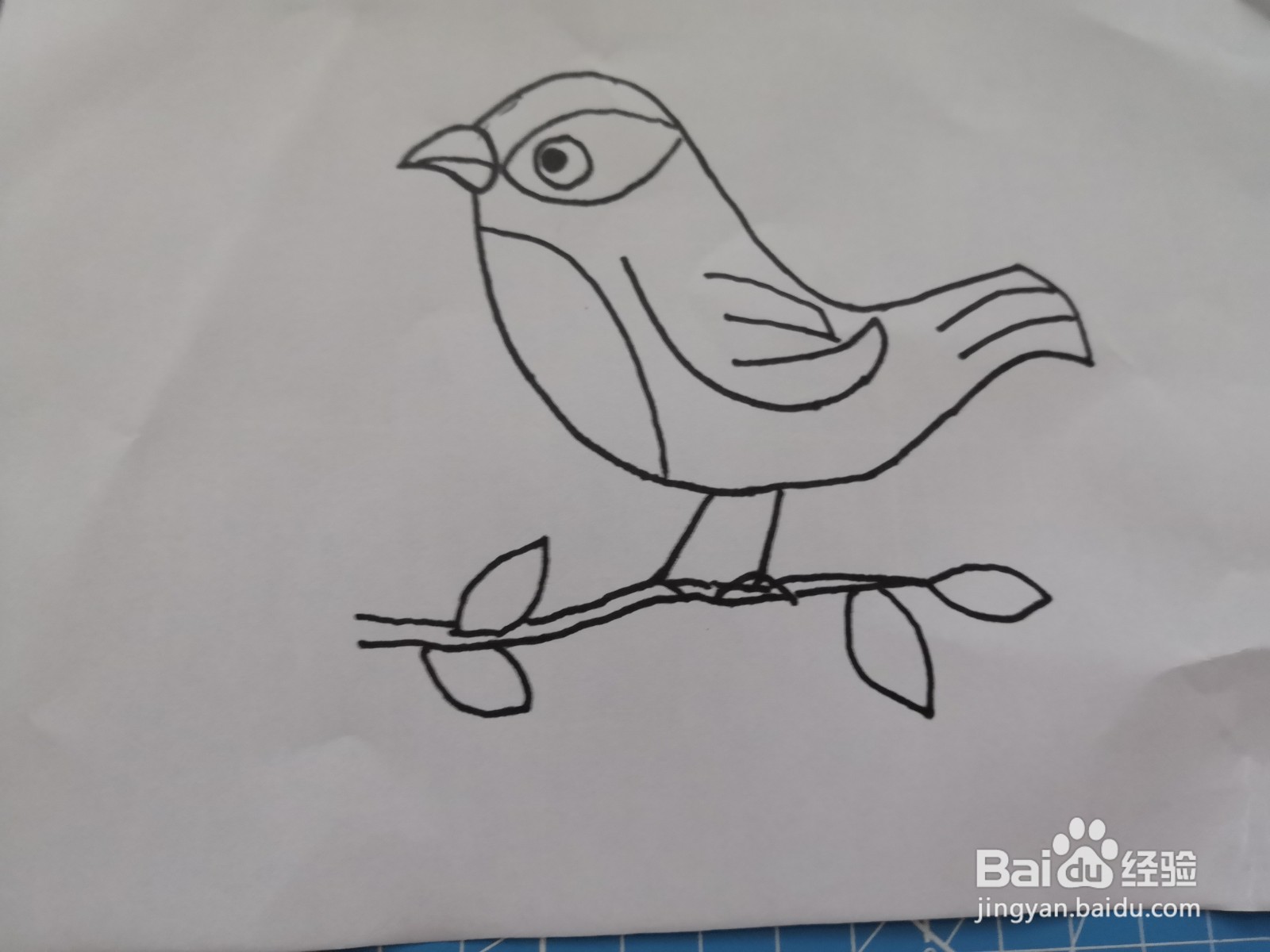 可爱的黄鹂鸟画法