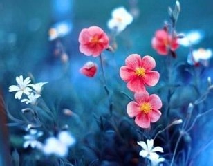 健康人生应该放弃哪些东西？：[3]行为