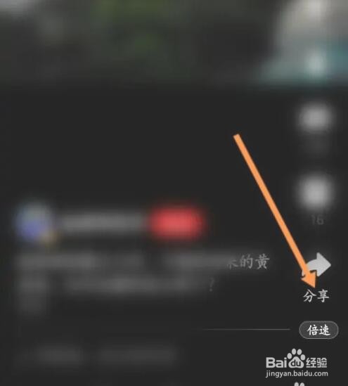 网易新闻如何转发视频到动态