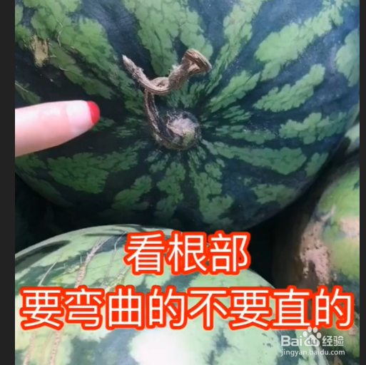 如何挑选西瓜？