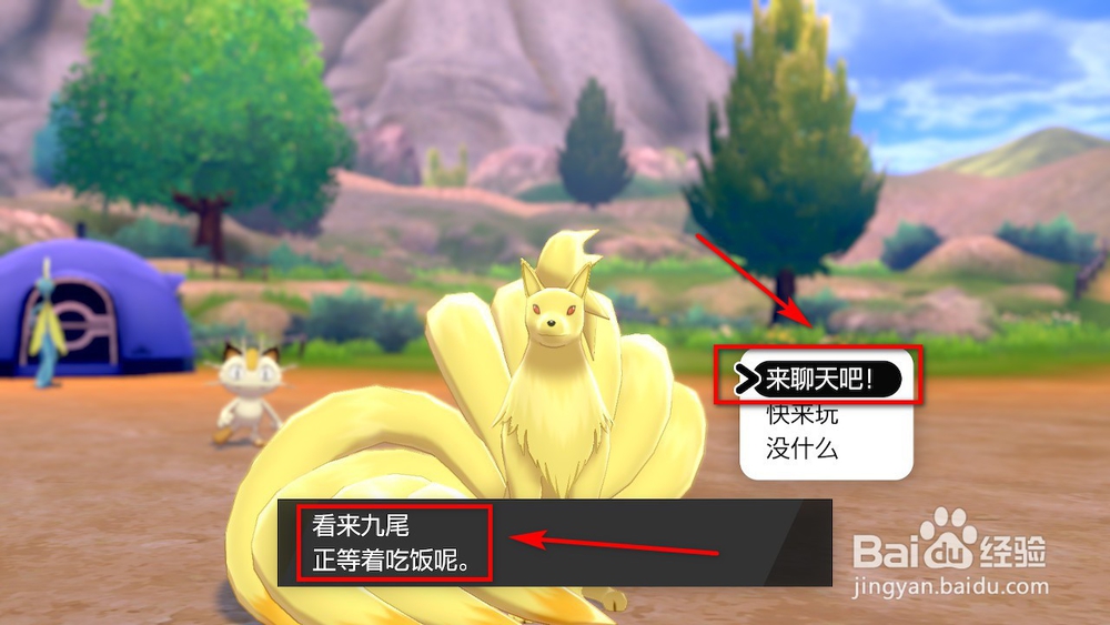 宝可梦剑盾露营组合怎么用