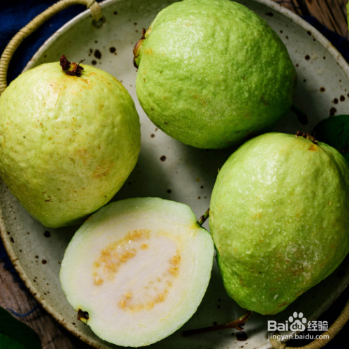 番石榴果的培育方法和注意事项