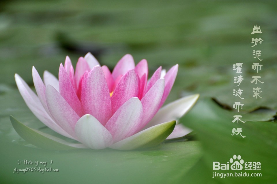 心理变态怎么办