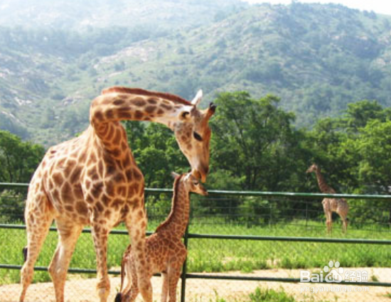 周末带小孩哪里去玩