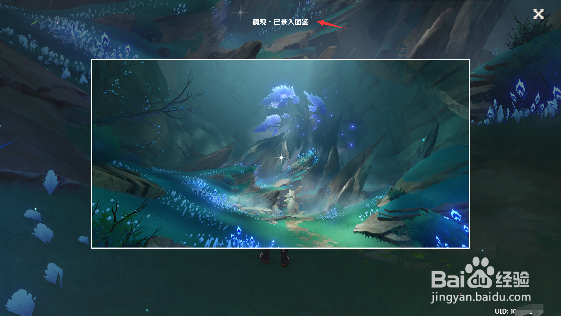 稻妻观景点七的位置。