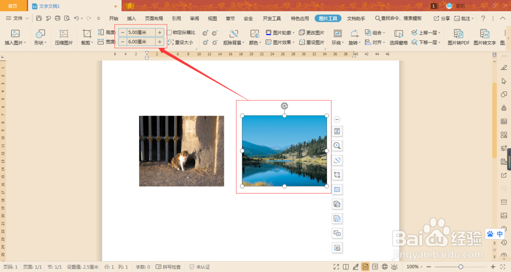 Word如何让两张图片在不裁剪的情况下宽高相同
