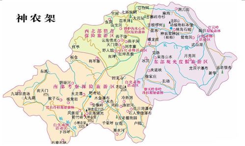 怎样游龙架之注意要点